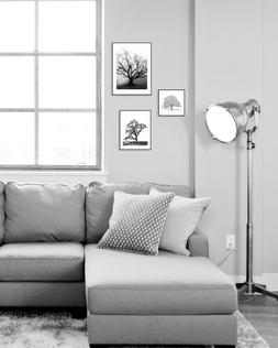 Quadri Foto Idee Arredo Stampa Complementi Alberi