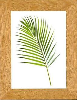 FAR PORTAFOTO TITIAN LEGNO 13X18 NOCE CHIARO