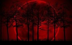 Grande Stampa con Cornice - Gigante Rosso Luna Dietro Scuro 