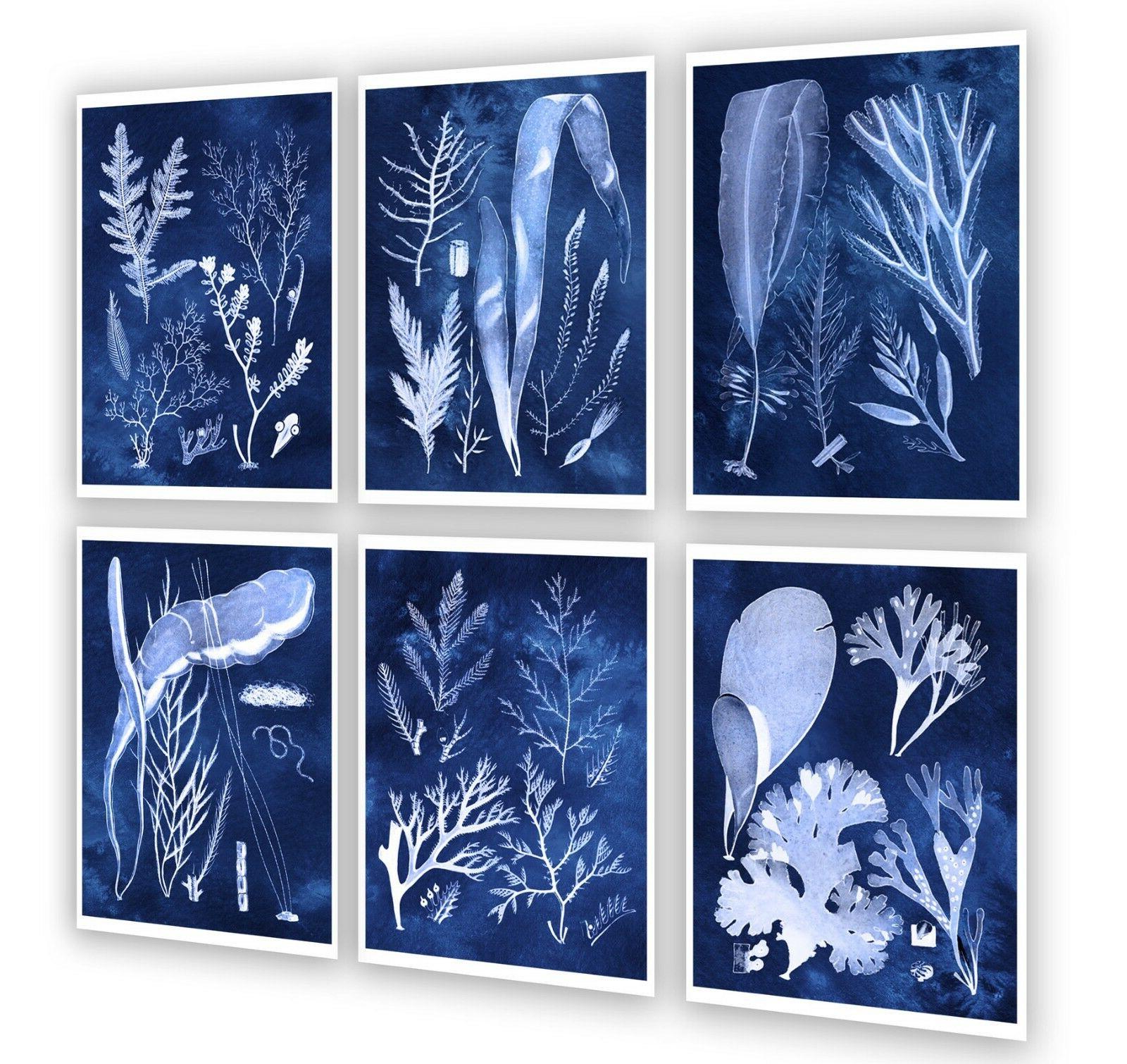 blu navy e bianco costiero decorazione set