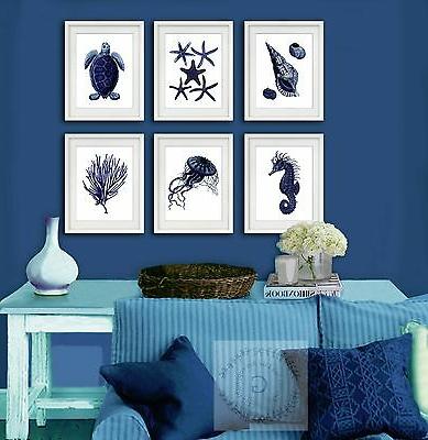 blu navy mare vita costiero decorazione muro