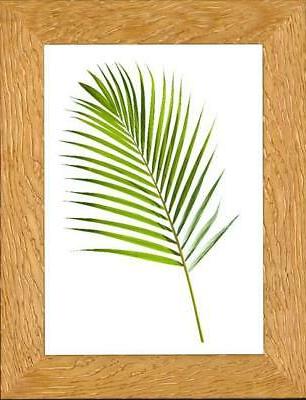 far portafoto titian legno 13x18 noce chiaro