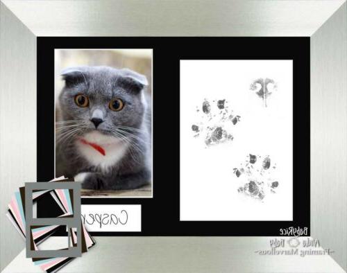 gatto cucciolo zampa stampa pawprints kit argento