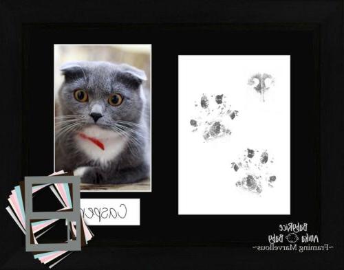 gatto cucciolo zampa stampa pawprints kit costiero