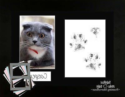 gatto cucciolo zampa stampa pawprints kit nero