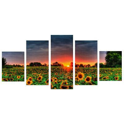 girasole pittura tramonto tela deco foto 5pcs