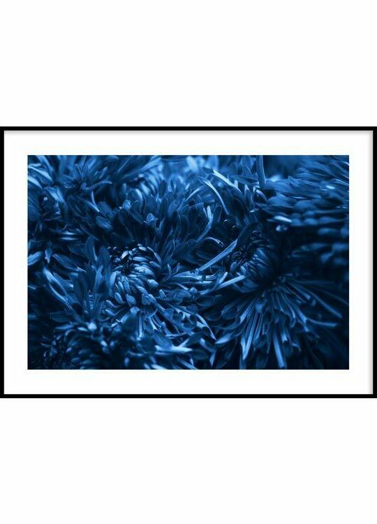 poster fiore blu stampa arredo parete stampa