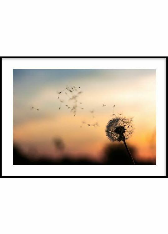 poster floreale stampa arredo camera parete stampa