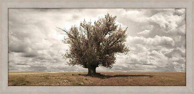 quadro con cornice shabby boston beige 65x135