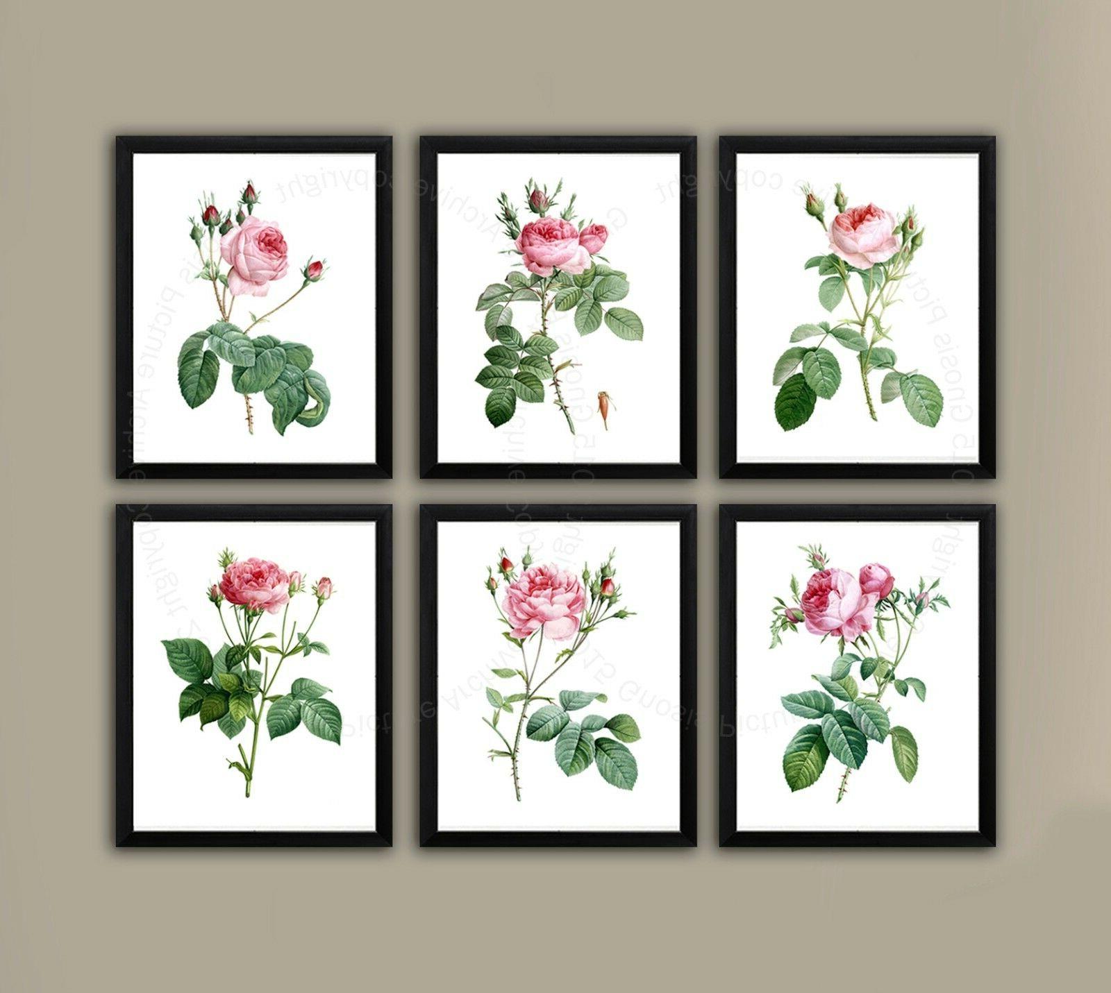 redoute rosa muro arte set di 6