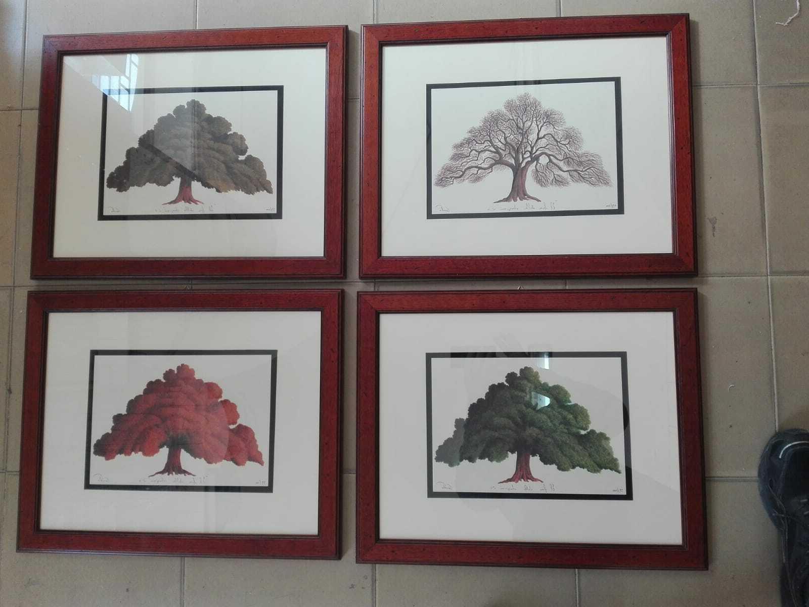 set quadri cornici legno pezzi 4 quercia