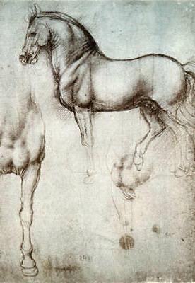 stampa con cornice cavallo disegno vintage antico
