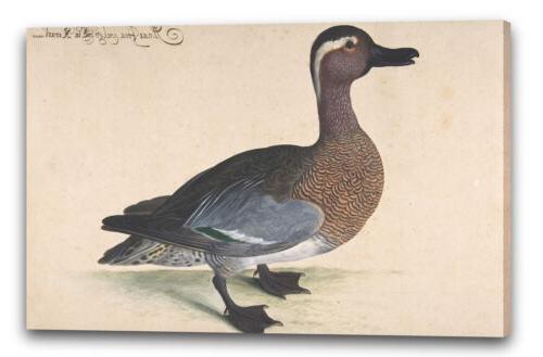 tela cornice johann jakob walther un maschio