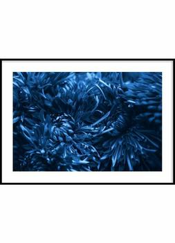 Poster Fiore Blu Stampa Arredo Parete Stampa Poster Fiori Na