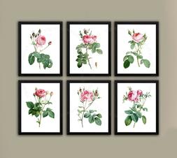 Redoute Rosa Muro Arte Set Di 6 senza Cornice Floreale Ragaz