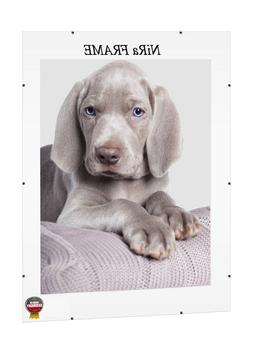 Clip Supporto Per Immagini Poster 30x30- 30x120cm