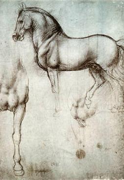 Leonardo da Vinci Stampa con Cornice - Cavallo Disegno (Vint