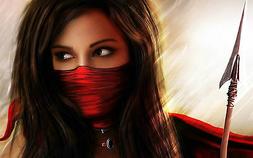 Stampa con Cornice - Femmina Assassin Caccia Fiocco E Frecci