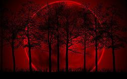 Stampa con Cornice - Gigante Rosso Luna Dietro Scuro Alberi 