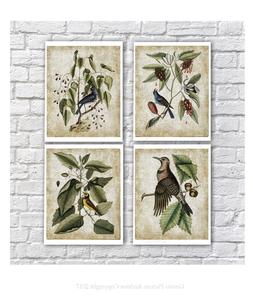 Vintage Uccelli & Botanico Arredo Casa senza Cornice Set Di 